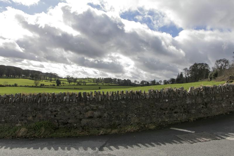 Cjp_2017-03-21_104002 (2).jpg